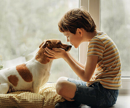 calin-chien