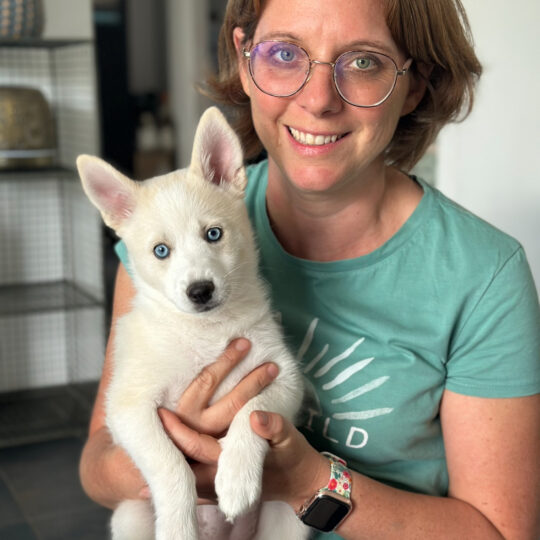 Dr Céline DUJARDIN tenant un chiot pomsky blanc