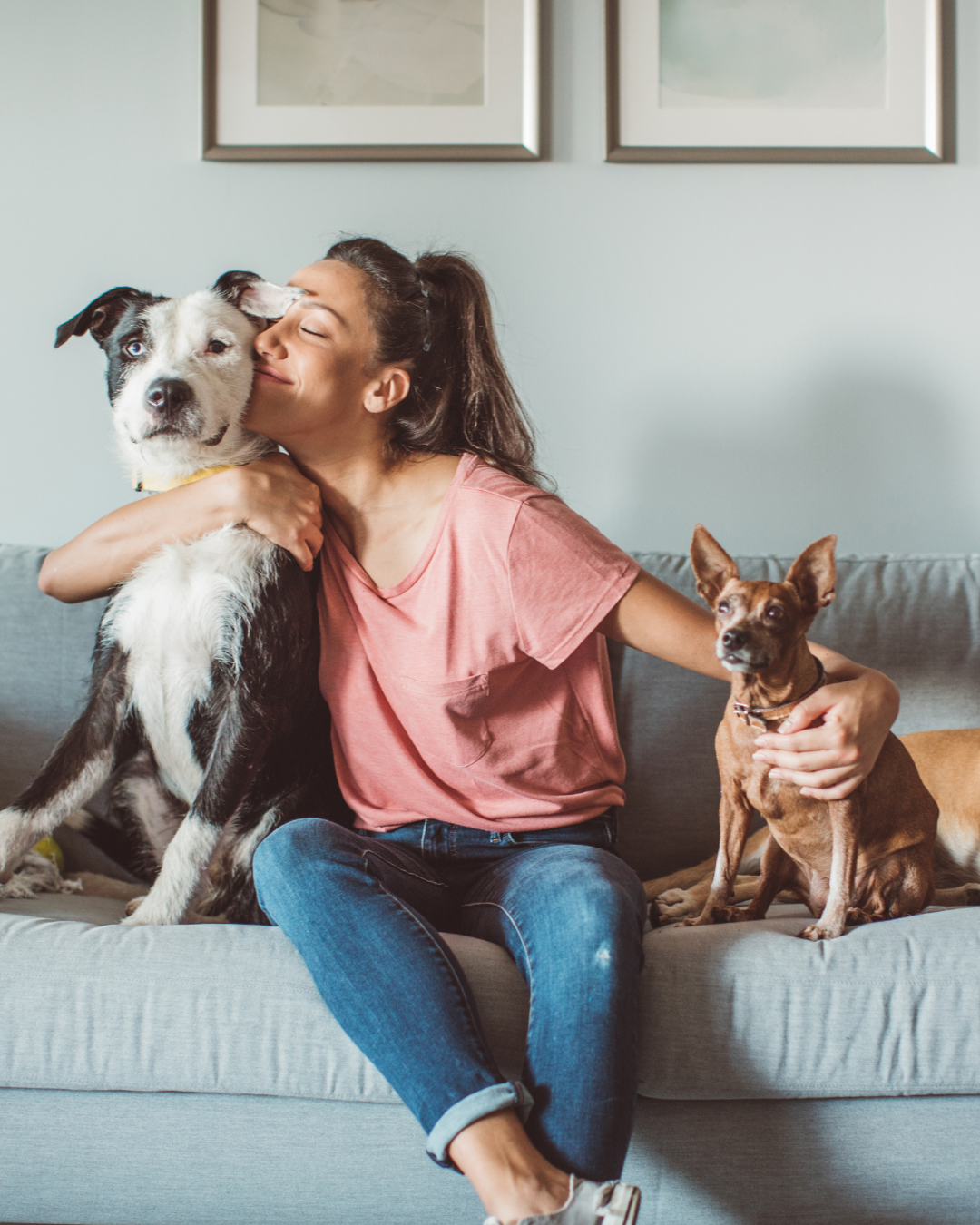 Petsitting Montpellier - recommandations vétérinaire