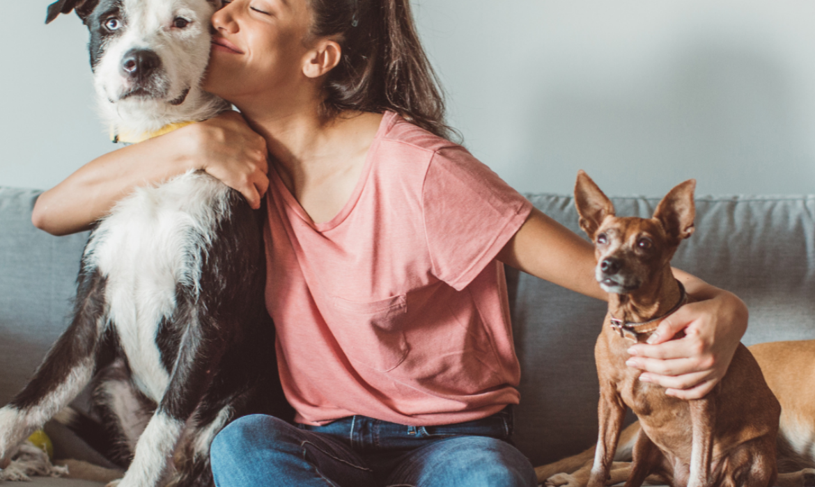 Petsitting Montpellier - recommandations v&eacute;t&eacute;rinaire