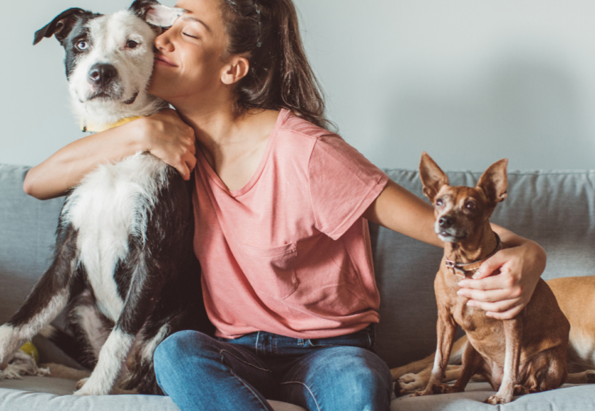 Petsitting Montpellier - recommandations vétérinaire
